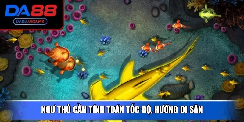 Ngư thủ cần tính toán tốc độ, hướng đi săn