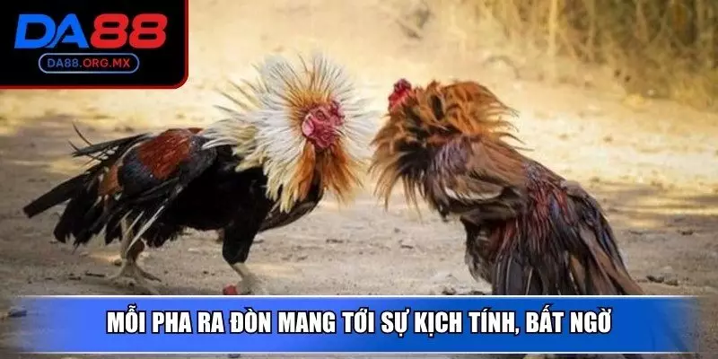 Mỗi pha ra đòn mang tới sự kịch tính, bất ngờ