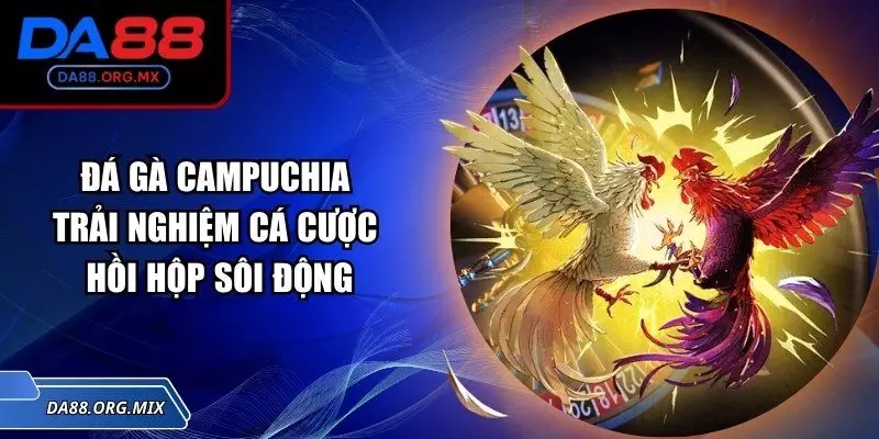 Đá gà Campuchia