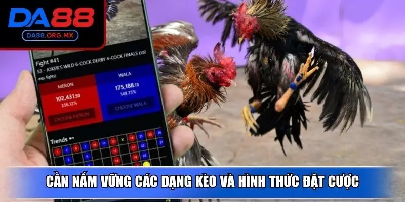 Cần nắm vững các dạng kèo và hình thức đặt cược