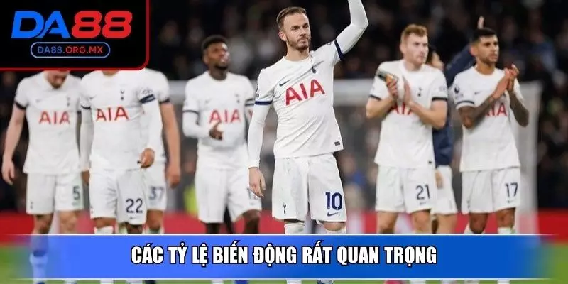 Các tỷ lệ biến động rất quan trọng